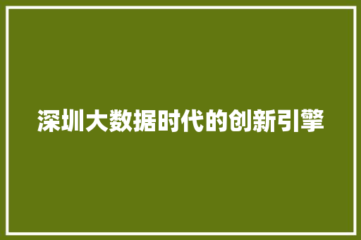 深圳大数据时代的创新引擎