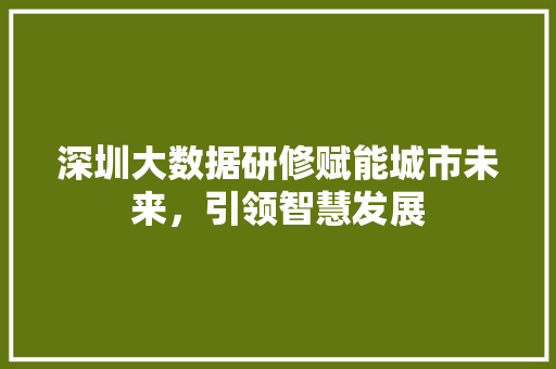深圳大数据研修赋能城市未来，引领智慧发展