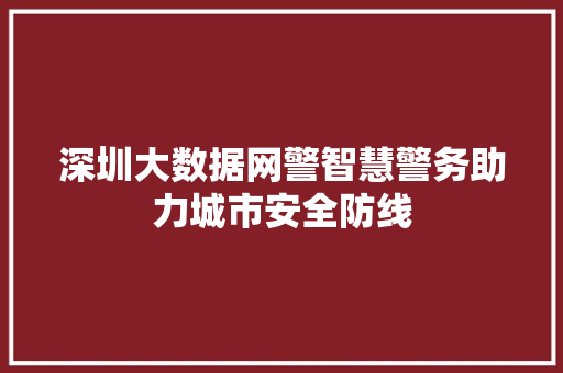 深圳大数据网警智慧警务助力城市安全防线