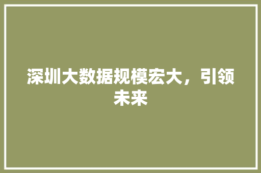 深圳大数据规模宏大，引领未来