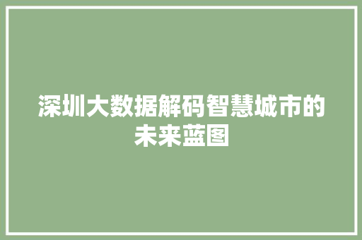 深圳大数据解码智慧城市的未来蓝图