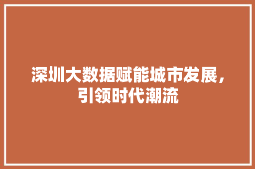 深圳大数据赋能城市发展，引领时代潮流