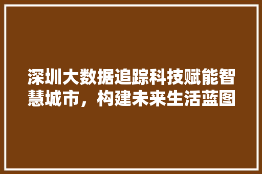 深圳大数据追踪科技赋能智慧城市，构建未来生活蓝图