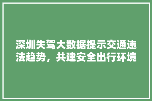 深圳失驾大数据提示交通违法趋势，共建安全出行环境