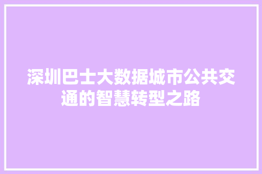 深圳巴士大数据城市公共交通的智慧转型之路