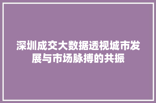 深圳成交大数据透视城市发展与市场脉搏的共振