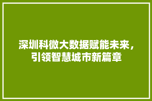 深圳科微大数据赋能未来，引领智慧城市新篇章