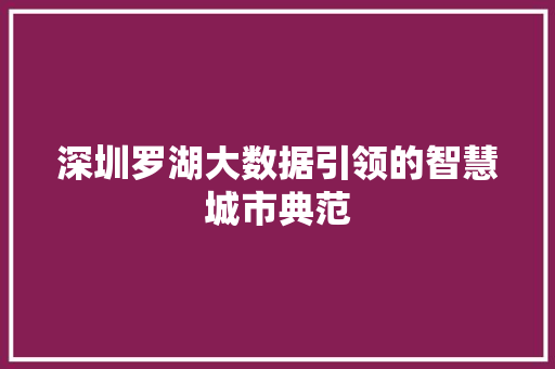 深圳罗湖大数据引领的智慧城市典范