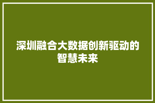 深圳融合大数据创新驱动的智慧未来