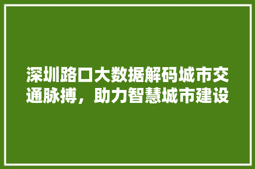 深圳路口大数据解码城市交通脉搏，助力智慧城市建设