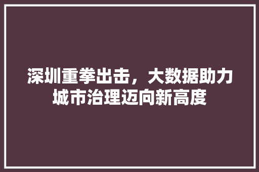 深圳重拳出击，大数据助力城市治理迈向新高度