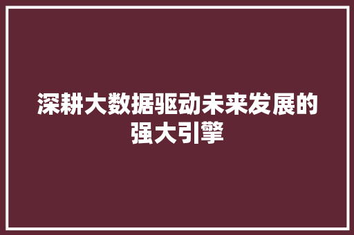 深耕大数据驱动未来发展的强大引擎