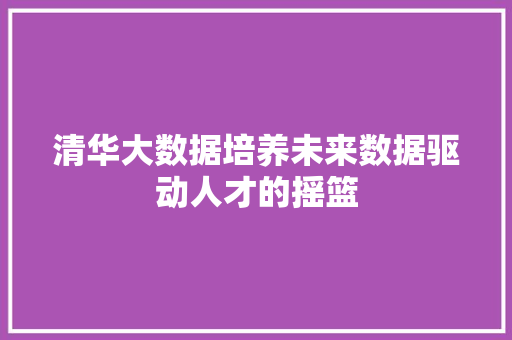 清华大数据培养未来数据驱动人才的摇篮