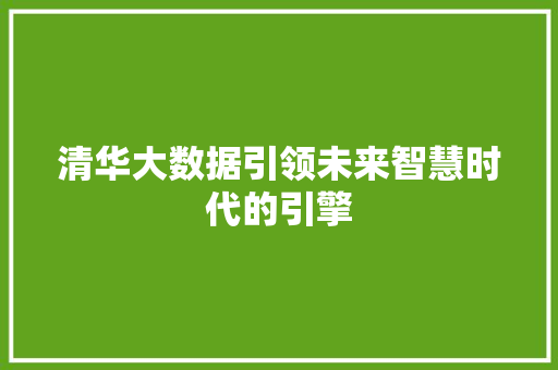 清华大数据引领未来智慧时代的引擎