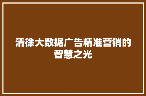 清徐大数据广告精准营销的智慧之光