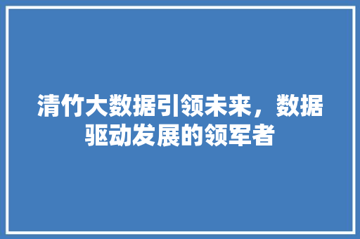 清竹大数据引领未来，数据驱动发展的领军者