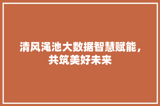 清风渑池大数据智慧赋能，共筑美好未来