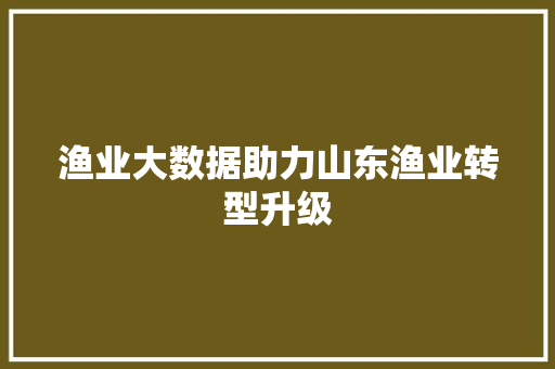 渔业大数据助力山东渔业转型升级