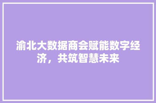 渝北大数据商会赋能数字经济，共筑智慧未来