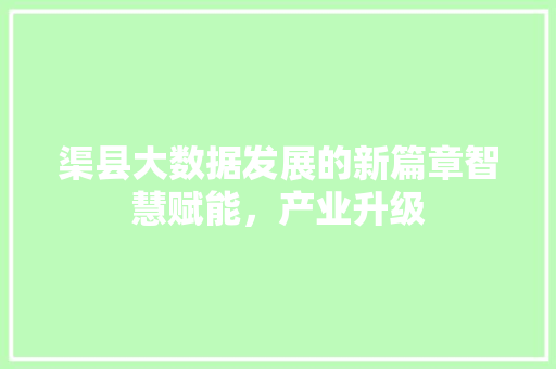 渠县大数据发展的新篇章智慧赋能，产业升级