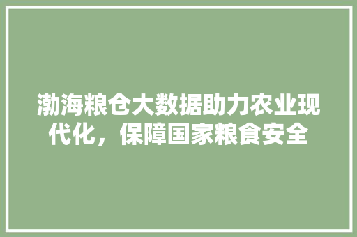 渤海粮仓大数据助力农业现代化，保障国家粮食安全