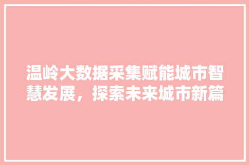 温岭大数据采集赋能城市智慧发展，探索未来城市新篇章