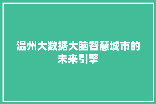 温州大数据大脑智慧城市的未来引擎