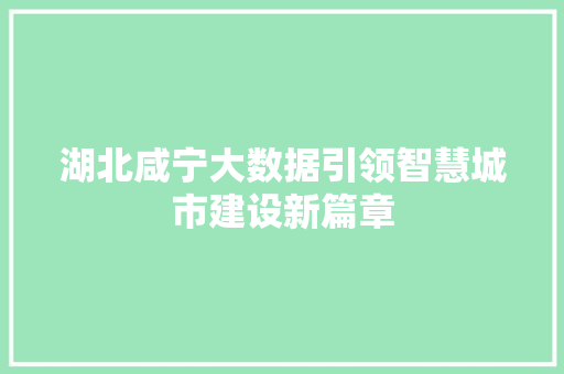 湖北咸宁大数据引领智慧城市建设新篇章