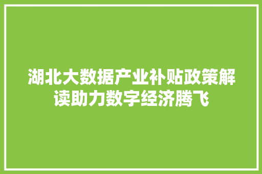 湖北大数据产业补贴政策解读助力数字经济腾飞
