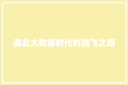 湖北大数据时代的腾飞之路