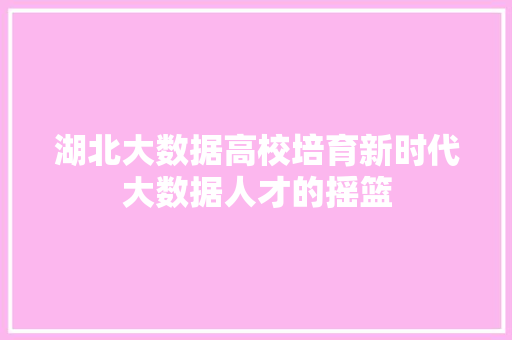 湖北大数据高校培育新时代大数据人才的摇篮