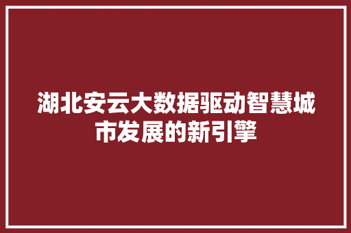湖北安云大数据驱动智慧城市发展的新引擎