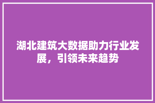 湖北建筑大数据助力行业发展，引领未来趋势