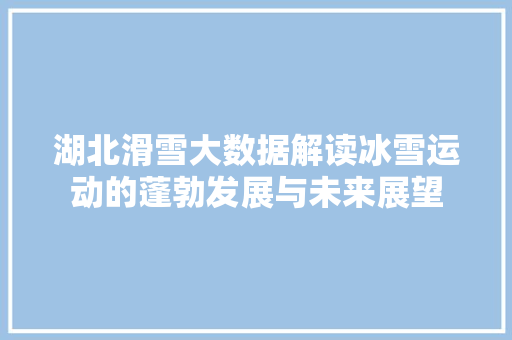 湖北滑雪大数据解读冰雪运动的蓬勃发展与未来展望