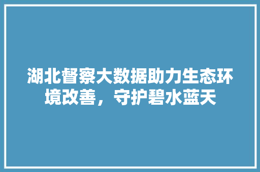 湖北督察大数据助力生态环境改善，守护碧水蓝天
