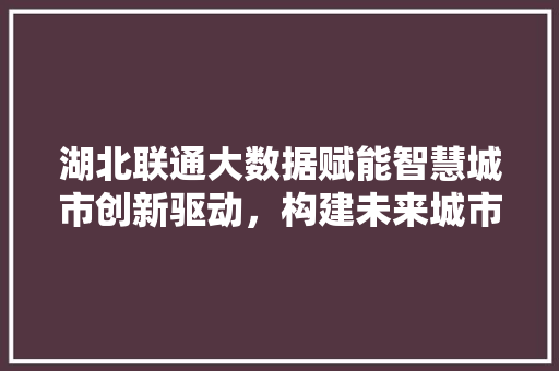 湖北联通大数据赋能智慧城市创新驱动，构建未来城市新格局