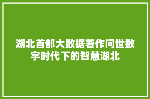 湖北首部大数据著作问世数字时代下的智慧湖北