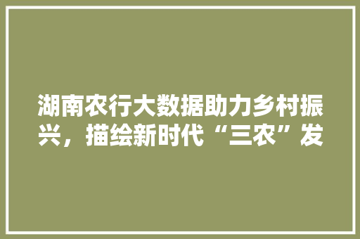 湖南农行大数据助力乡村振兴，描绘新时代“三农”发展新蓝图
