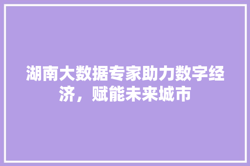 湖南大数据专家助力数字经济，赋能未来城市