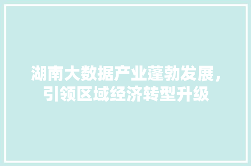 湖南大数据产业蓬勃发展，引领区域经济转型升级