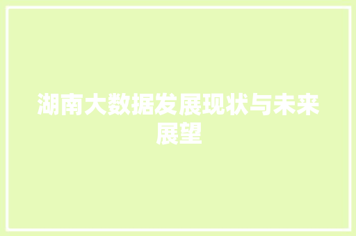 湖南大数据发展现状与未来展望