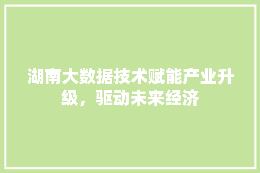 湖南大数据技术赋能产业升级，驱动未来经济
