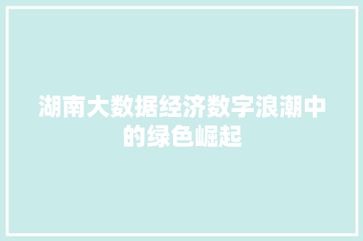 湖南大数据经济数字浪潮中的绿色崛起