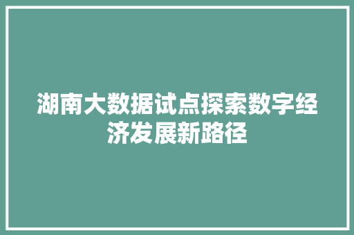 湖南大数据试点探索数字经济发展新路径