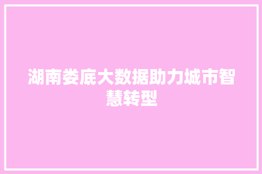 湖南娄底大数据助力城市智慧转型