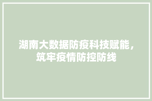 湖南大数据防疫科技赋能，筑牢疫情防控防线