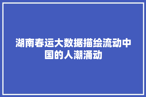 湖南春运大数据描绘流动中国的人潮涌动