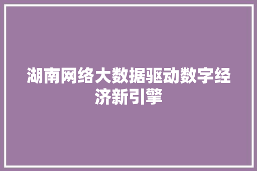 湖南网络大数据驱动数字经济新引擎