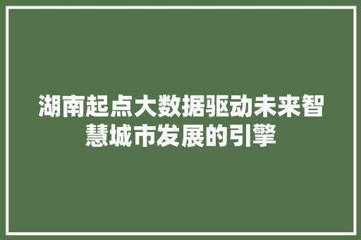 湖南起点大数据驱动未来智慧城市发展的引擎