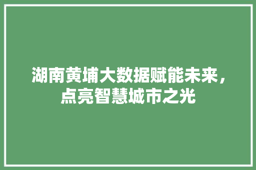 湖南黄埔大数据赋能未来，点亮智慧城市之光